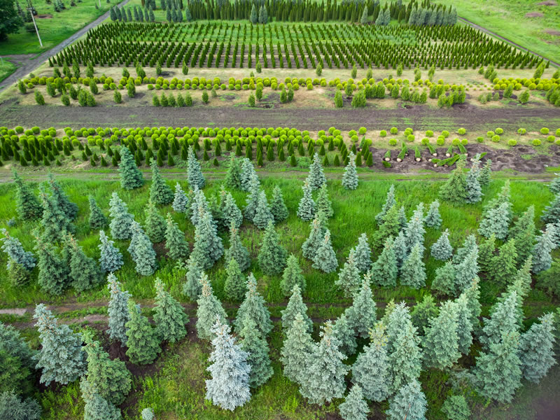 Surveying and mapping using drones